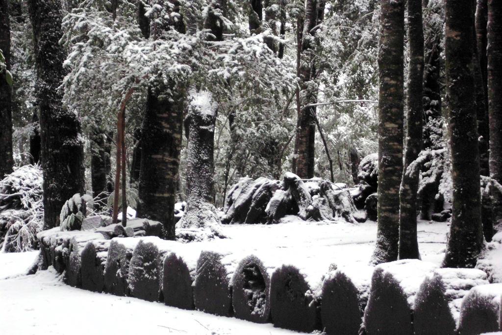 Cabana Rustica Patagonia Chilena Coñaripe Pokoj fotografie