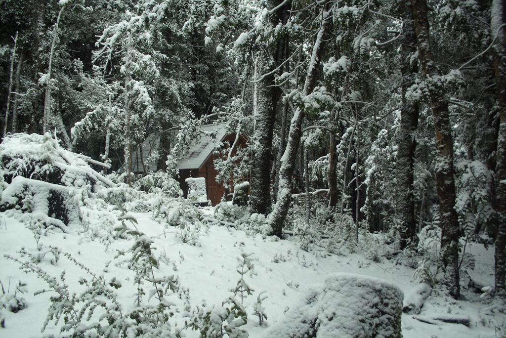 Cabana Rustica Patagonia Chilena Coñaripe Pokoj fotografie