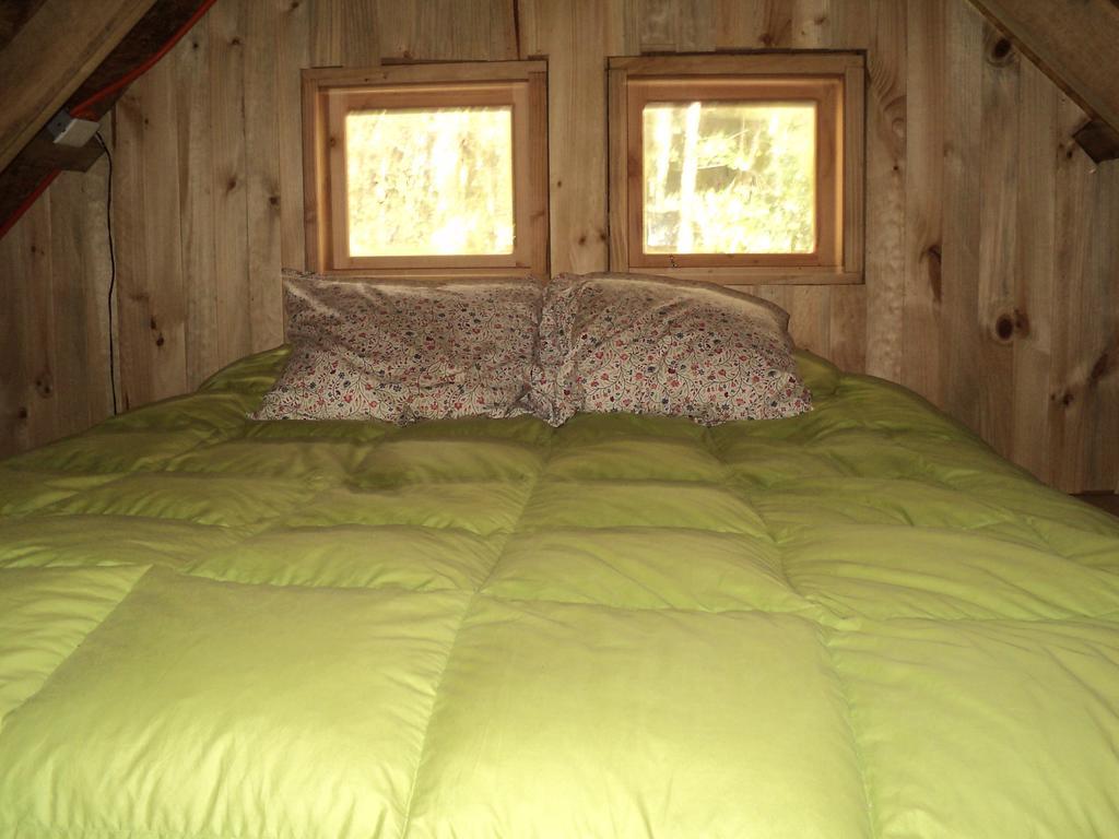 Cabana Rustica Patagonia Chilena Coñaripe Pokoj fotografie