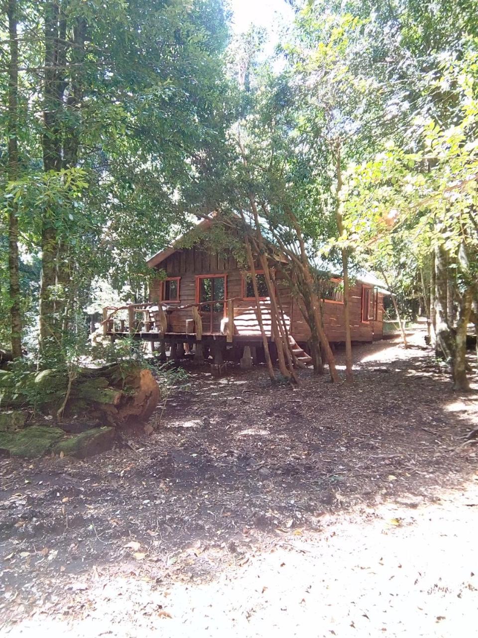Cabana Rustica Patagonia Chilena Coñaripe Exteriér fotografie