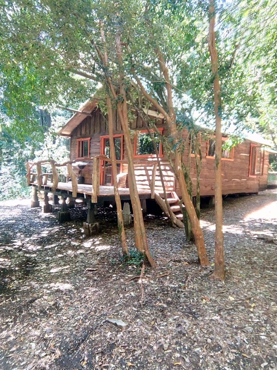 Cabana Rustica Patagonia Chilena Coñaripe Exteriér fotografie
